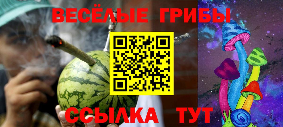 Гусев  Галлюциногенные грибы GOLDEN TEACHER  где купить наркоту  Галлюциногенные грибы Magic Shrooms  Вход с VPN 